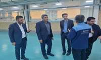 تمرکز بر رفع موانع تولید و توسعه صنایع کوچک در بازدید معاون صنایع کوچک از سه واحد صنعتی شیراز